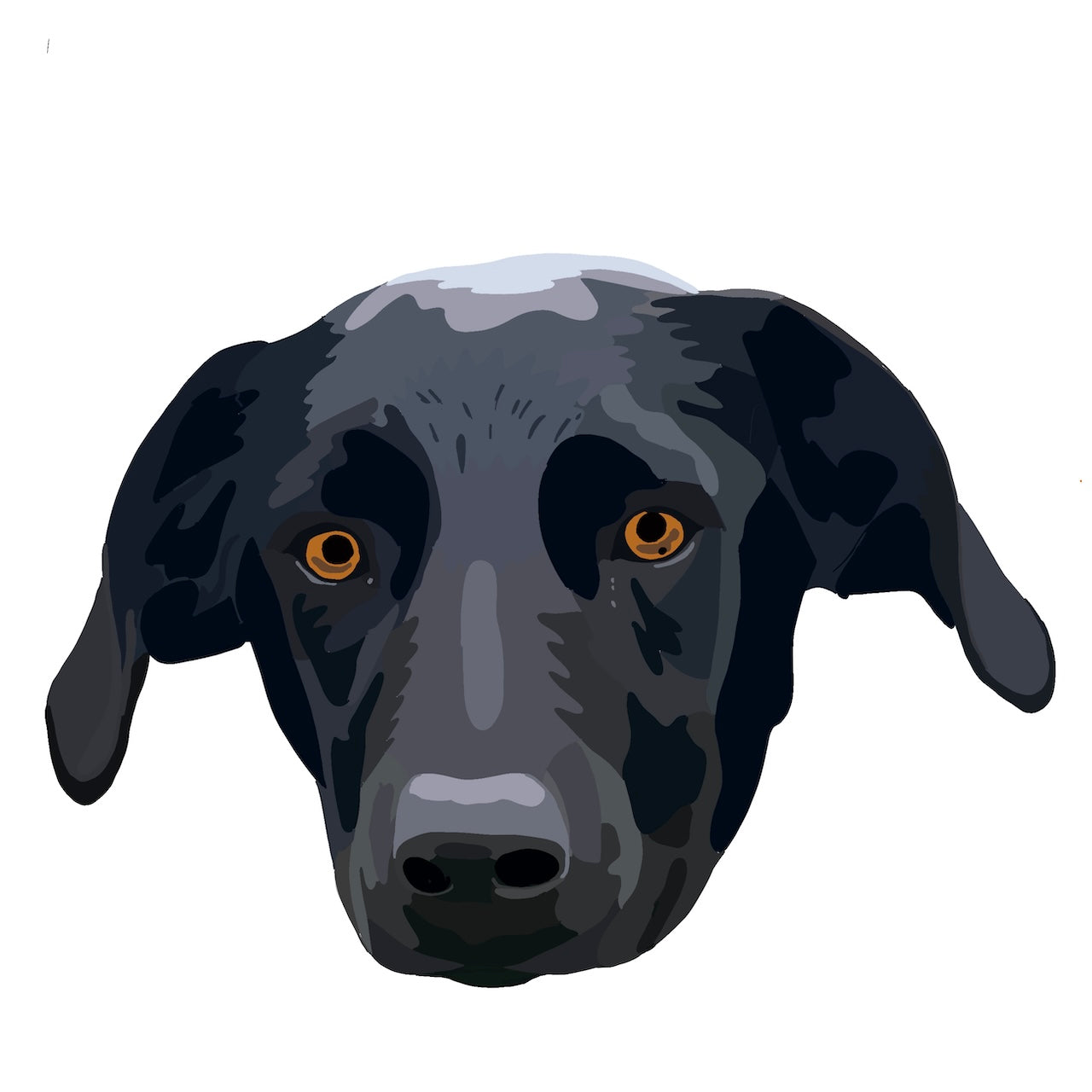 Custom Pet Design Fee - One-Time Portrait Creation Service