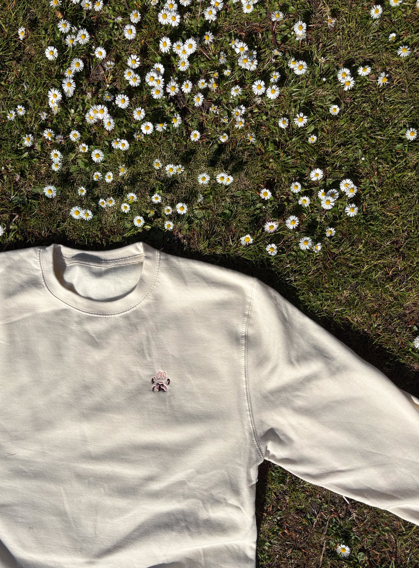 Paw Print Sweatshirt - Custom Pet Portrait Jumper